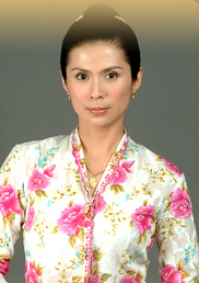 小娘惹(2008年歐萱、戚玉武主演電視劇)