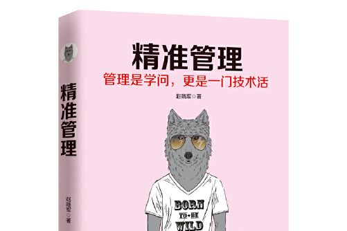 精準管理(2017年廣東旅遊出版社出版的圖書)