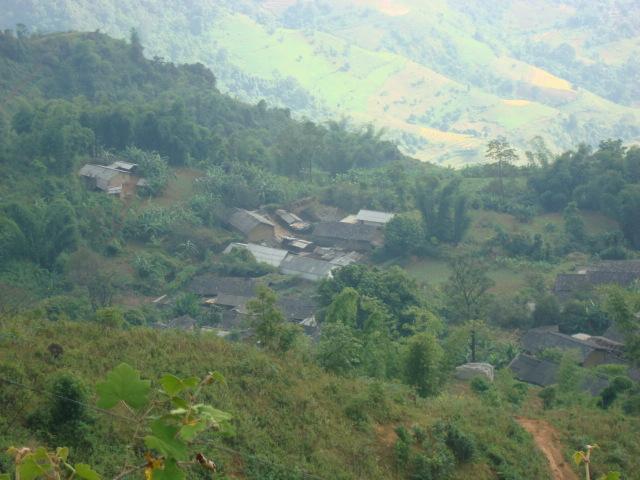 團樹村(雲南省臨滄市永德縣崇崗鄉團樹村)