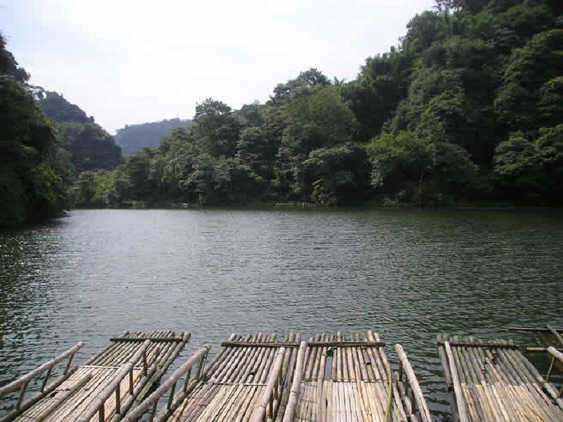 搭棚藤產地雲南峨山