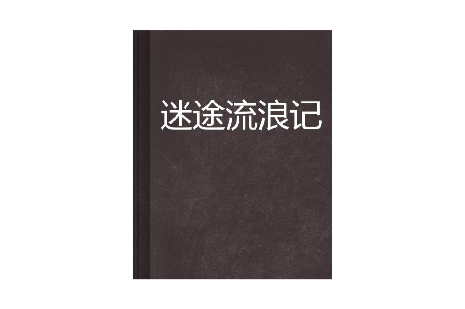 迷途流浪記