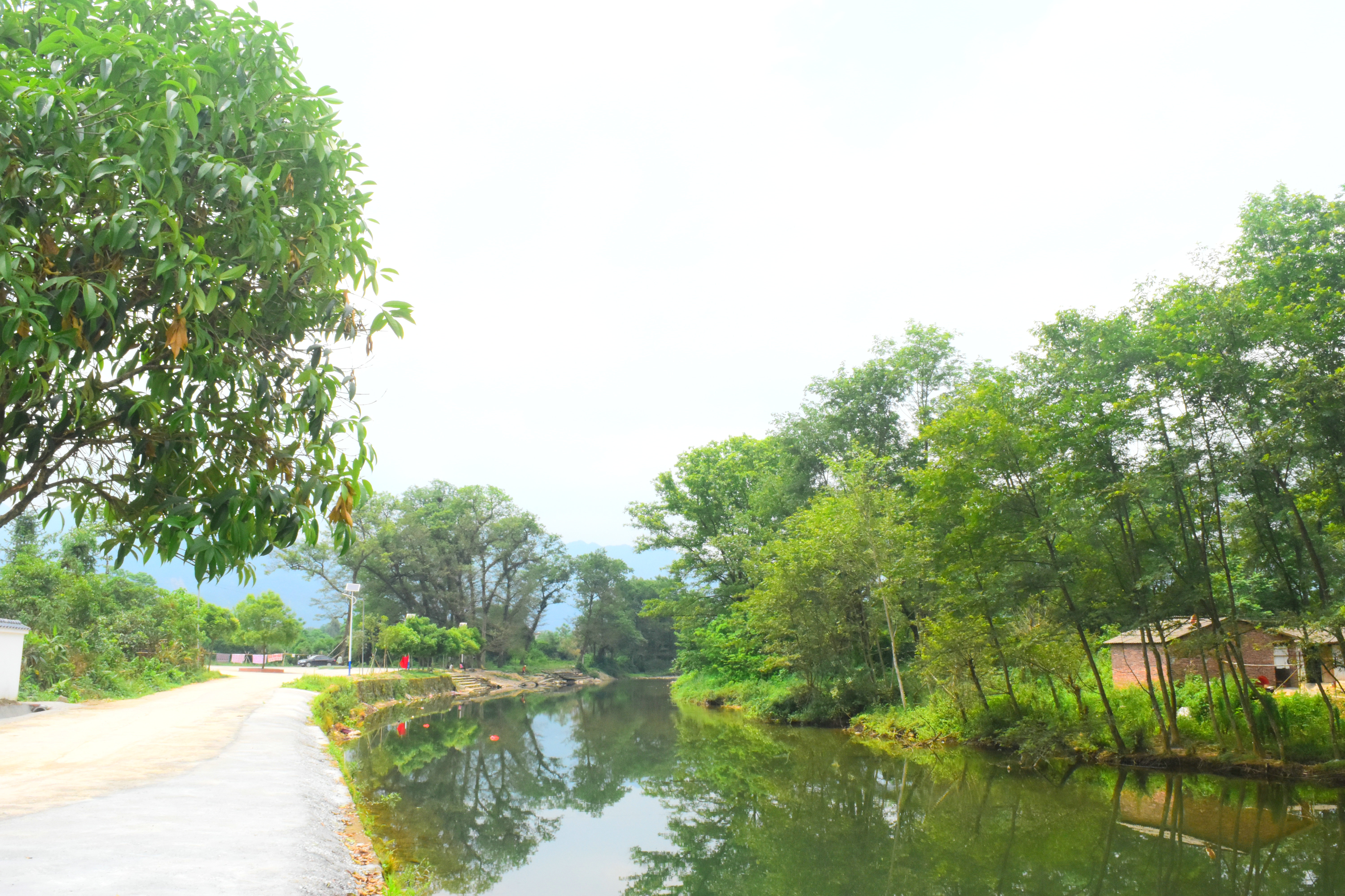 泉水妙村