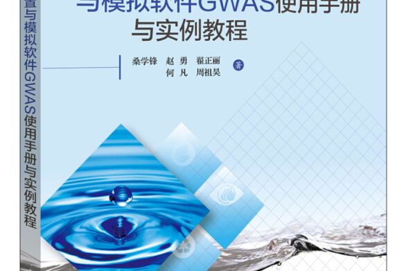 水資源通用配置與模擬軟體GWAS使用手冊與實例教程