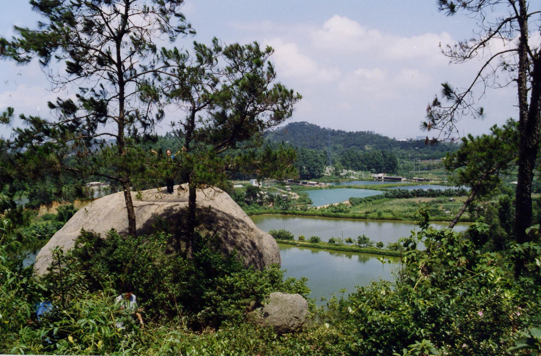 龍頭山森林公園