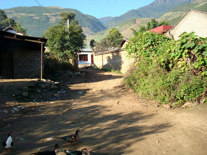 芒寬村村內道路