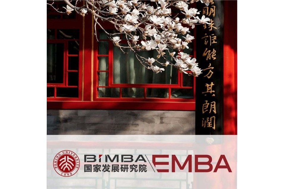 北大國發院EMBA