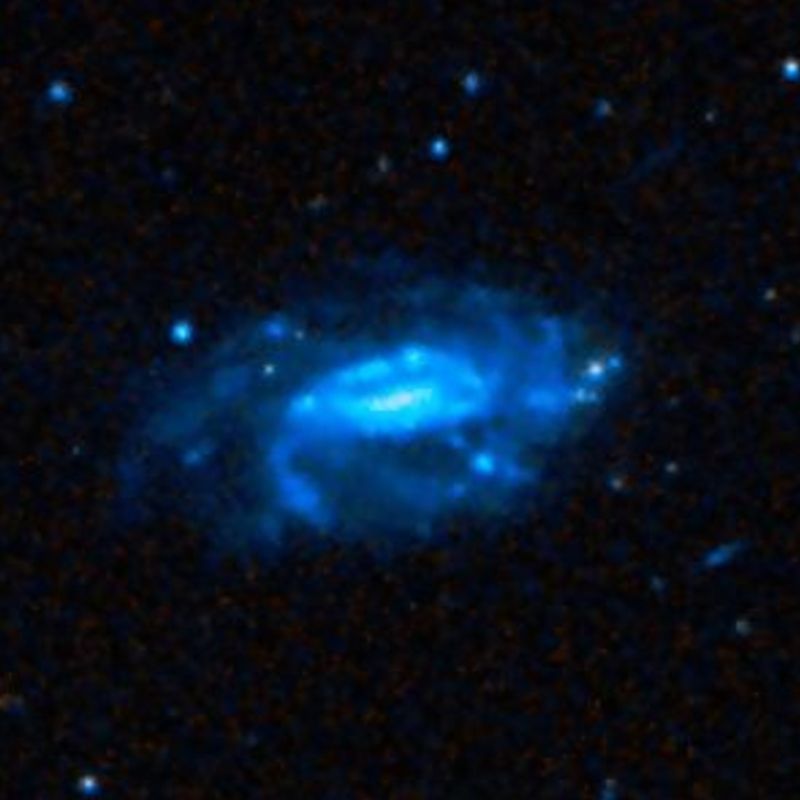 NGC 3020