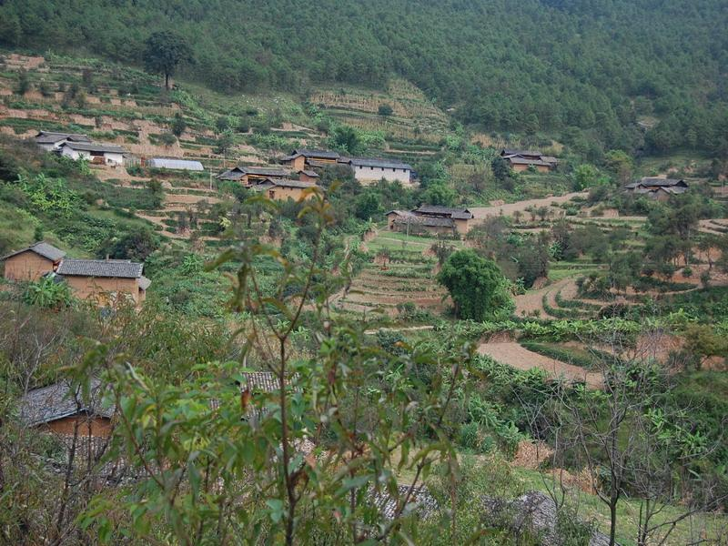 坪子村(雲南省宣威市得祿鄉坪子村)