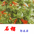 地石榴花(中藥材)