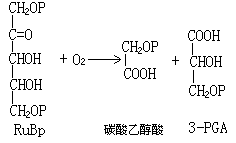 常用的關係式