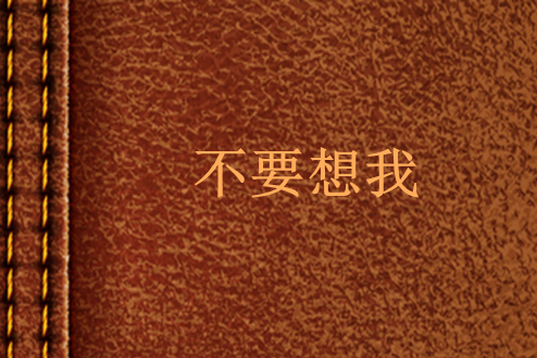 不要想我(網路小說)