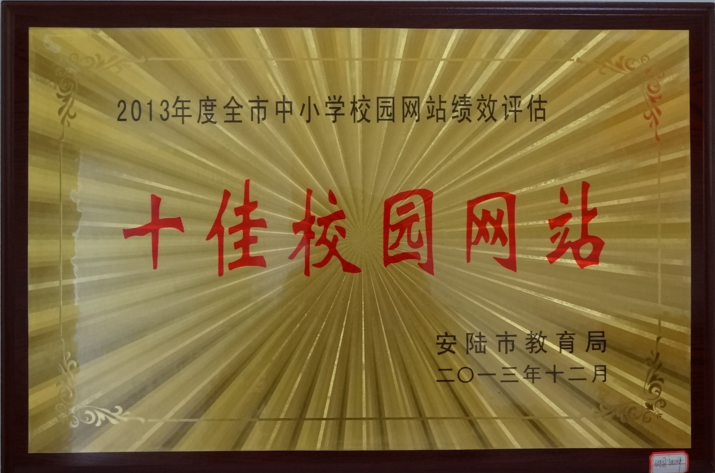 安陸市2013年十佳校園網站