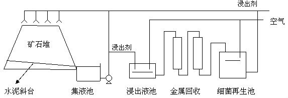 細菌浸出示意圖