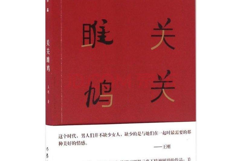 關關雎鳩(王剛所著小說)