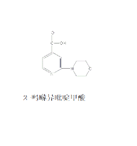 2-嗎啉異吡啶甲酸