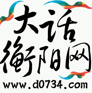 大話衡陽網logo