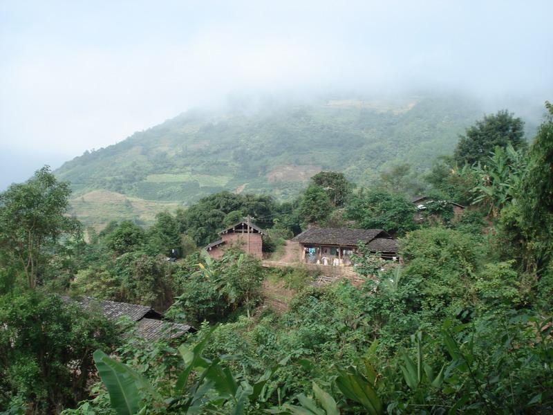 麻栗樹村(華寧縣寧州鎮普茶寨麻栗樹村)