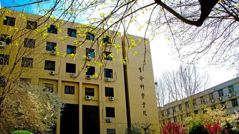 青島大學生命科學學院