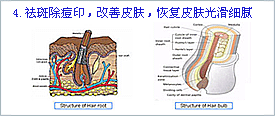 凱芙琳