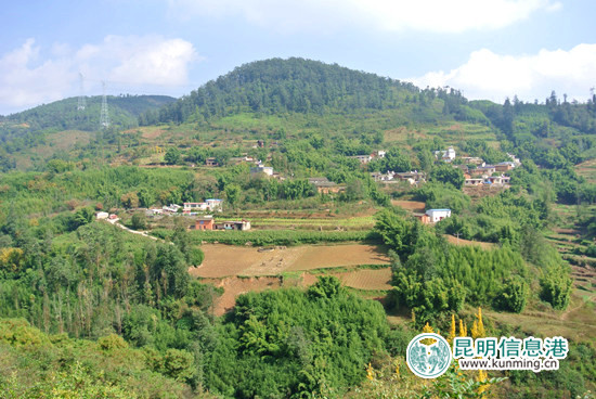 大箐村(雲南省大理鶴慶縣龍開口鎮大箐村委會)