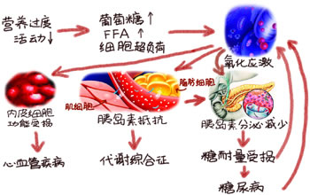 游離脂肪酸和氧化應激