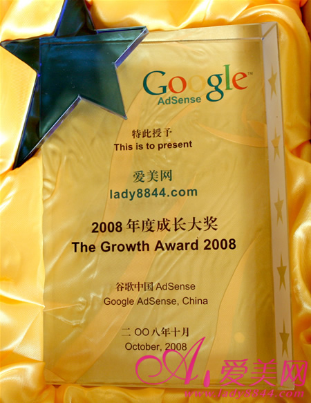 Google 2008年度最佳成長網站獎