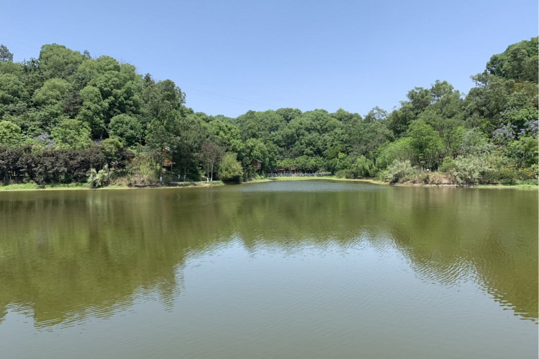 戲水湖(自貢市境內湖泊)