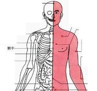 巨送穴