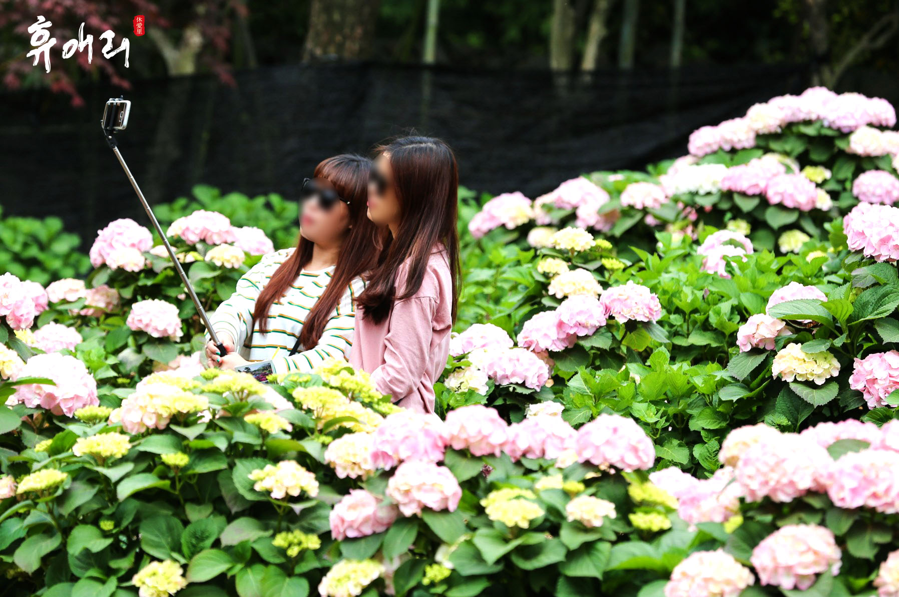 休愛里自然生活公園