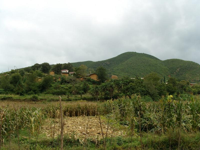 石草河村