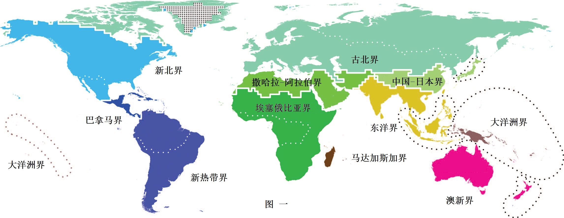 本·霍爾特等的動物地理分區圖