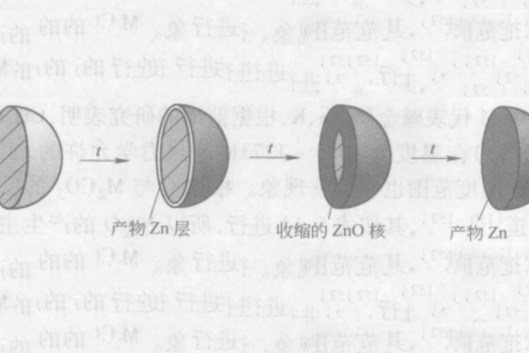 縮核模型