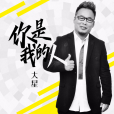 你是我的人(大星演唱的歌曲)