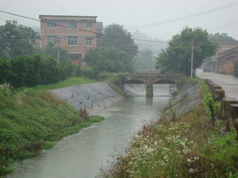 路口村(安徽宿州市蕭縣青龍集鎮路口村)