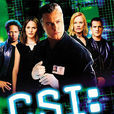 犯罪現場調查第一季(CSI（美國2000年威廉·彼得森主演的電視劇）)