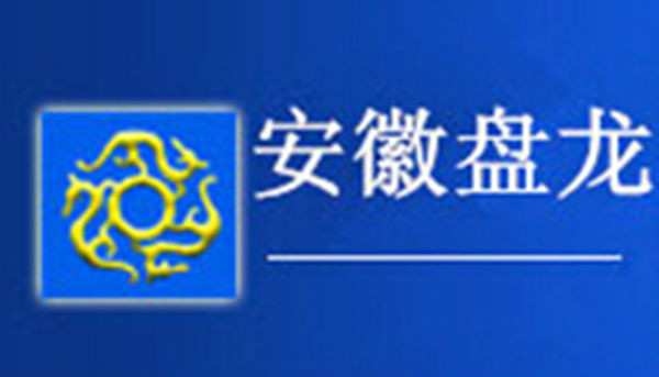 安徽盤龍企業拍賣集團有限公司