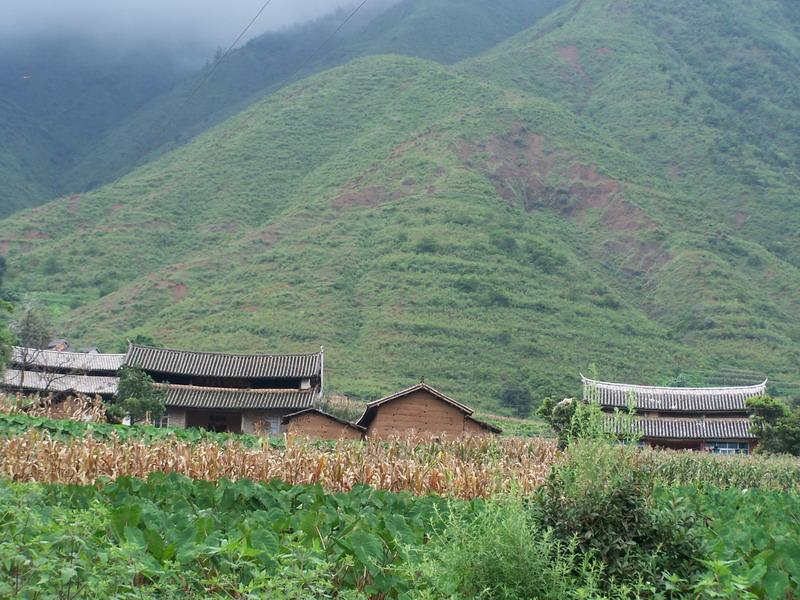 小陽保村-山地