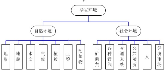 孕災環境分類