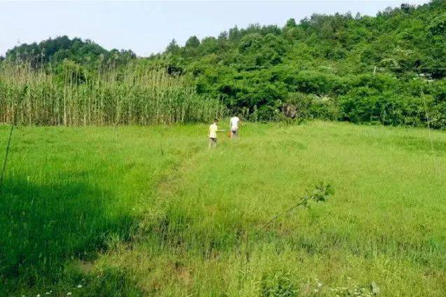 郭橋村(山東省菏澤市巨野縣營里鎮下轄村)