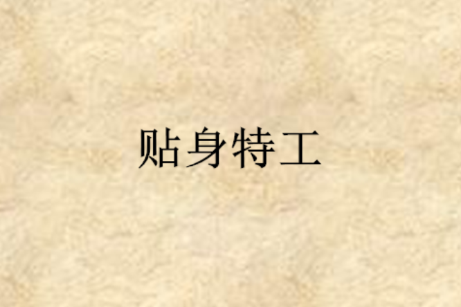 貼身特工(終極全能護美：貼身特工)