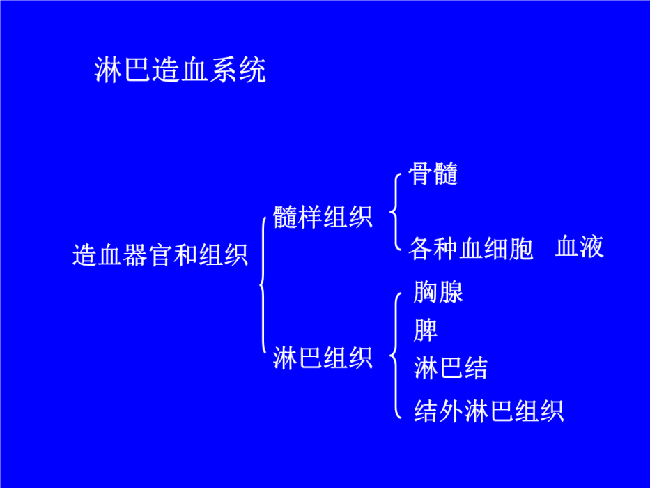 淋巴造血系統