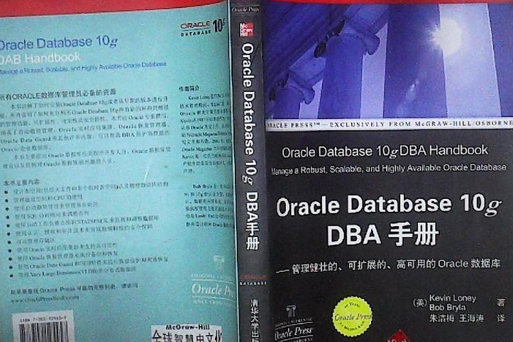 Oracle Database 10g資料庫管理員手冊