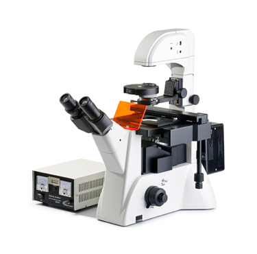 FM-600倒置螢光顯微鏡