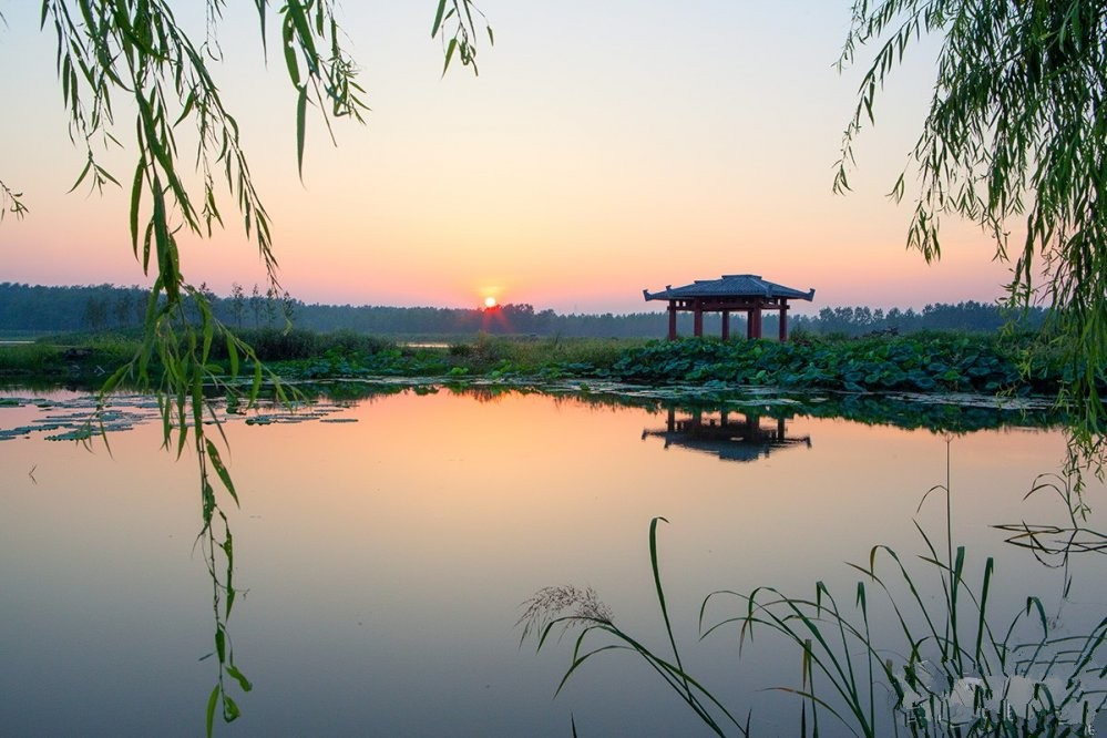 江陵龍淵湖公園