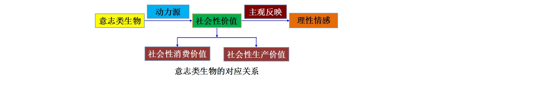 理性情感