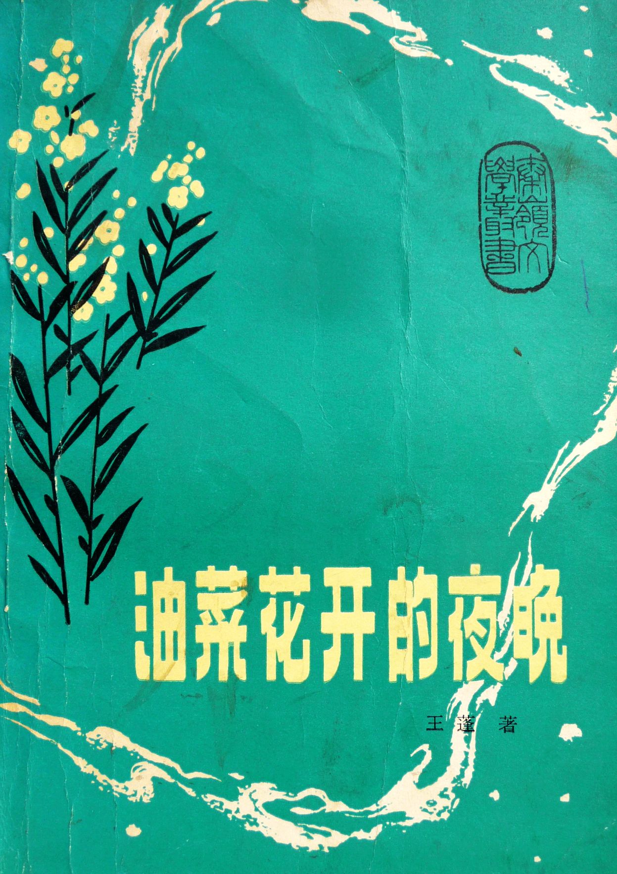 王蓬的第一本書