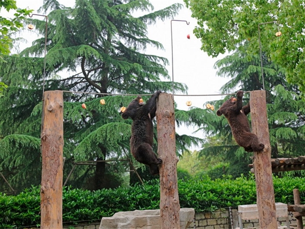 上海野生動物園