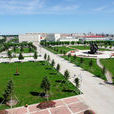 綏化市第一中學