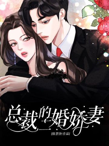 總裁的二婚嬌妻(小說)