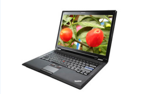 聯想ThinkPad SL300(27386TC)